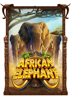 เว็บ joker ทั้งหมด: สูตรและเคล็ดลับเด็ดๆ ในการเล่น